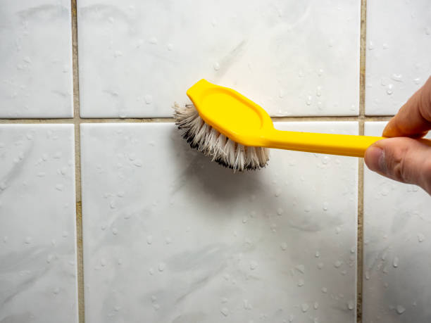 Best Affordable Mold Removal  in Newberg, OR