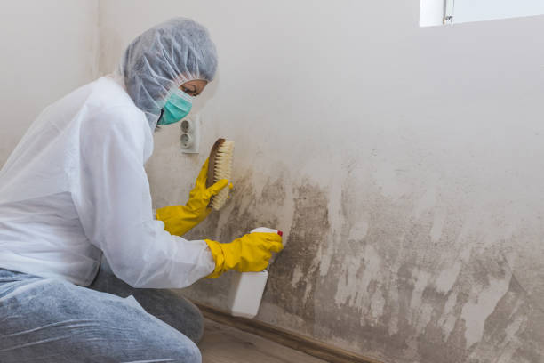 Best Certified Mold Removal  in Newberg, OR