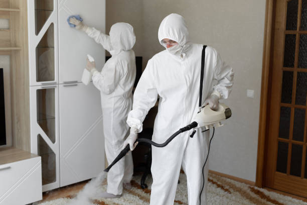 Mold Testing and Removal in Newberg, OR
