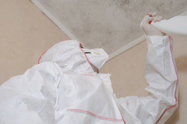 Best Mold Cleaning Services  in Newberg, OR