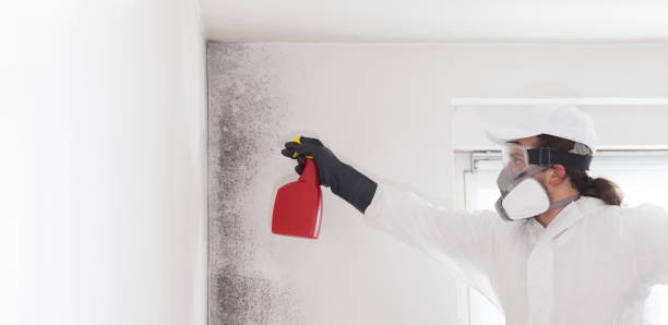 Best Mold Testing  in Newberg, OR