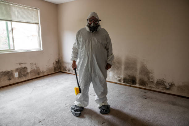 Best Mold Removal Process  in Newberg, OR